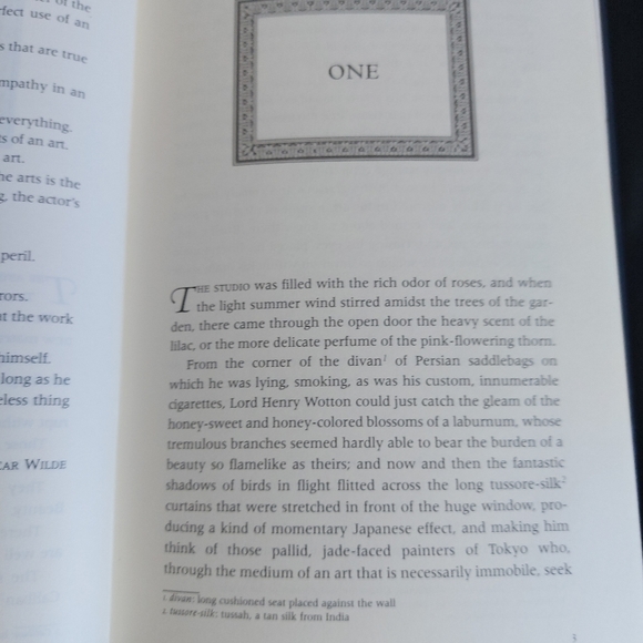 👻The Picture of Dorian Gray by Oscar Wilde👻 - Picture 11 of 16